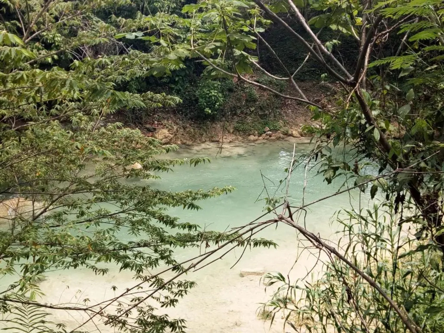 cabins sierraverde huasteca potosina "cabaña la ceiba"