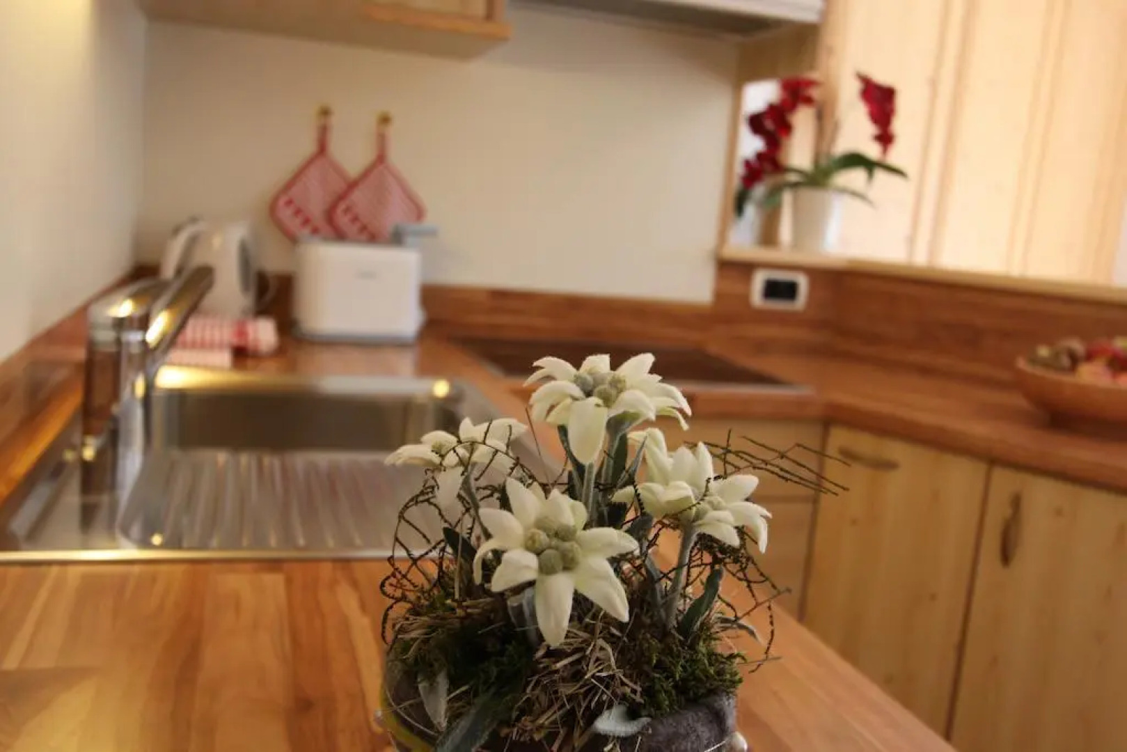 Residence Cesa Ladina