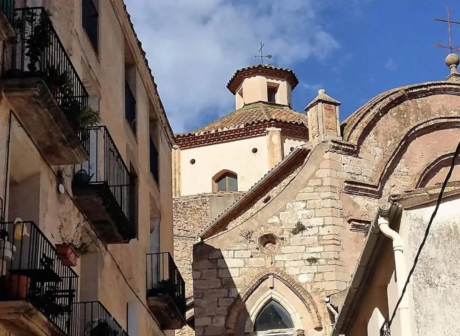 La Moixera del Singlat