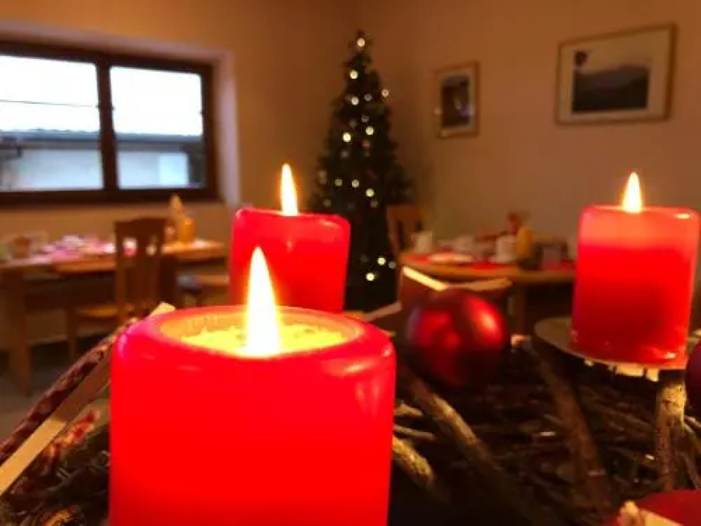 Le Grenier Des Arômes Au Domaine Wittmann