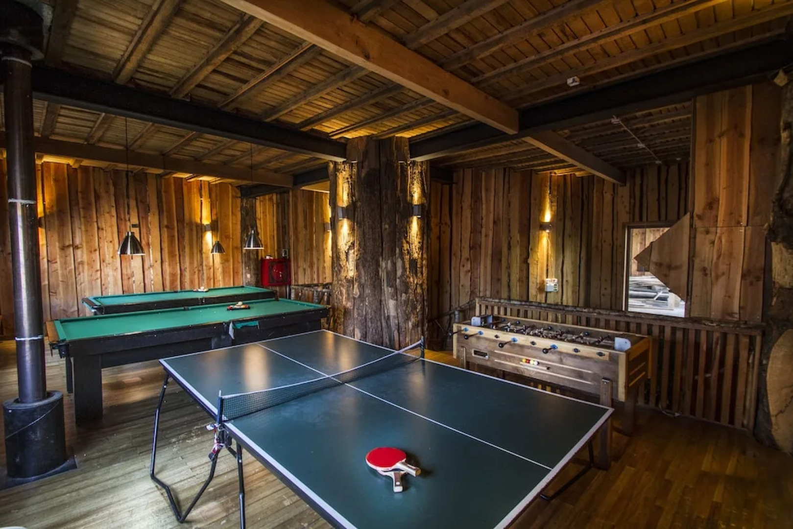 Huilo Huilo Reino Fungi