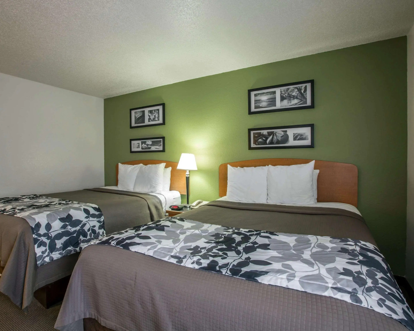 Sleep Inn & Suites near Sports World Blvd