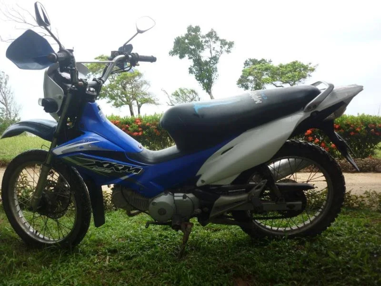 Buenavista Paradise Resort