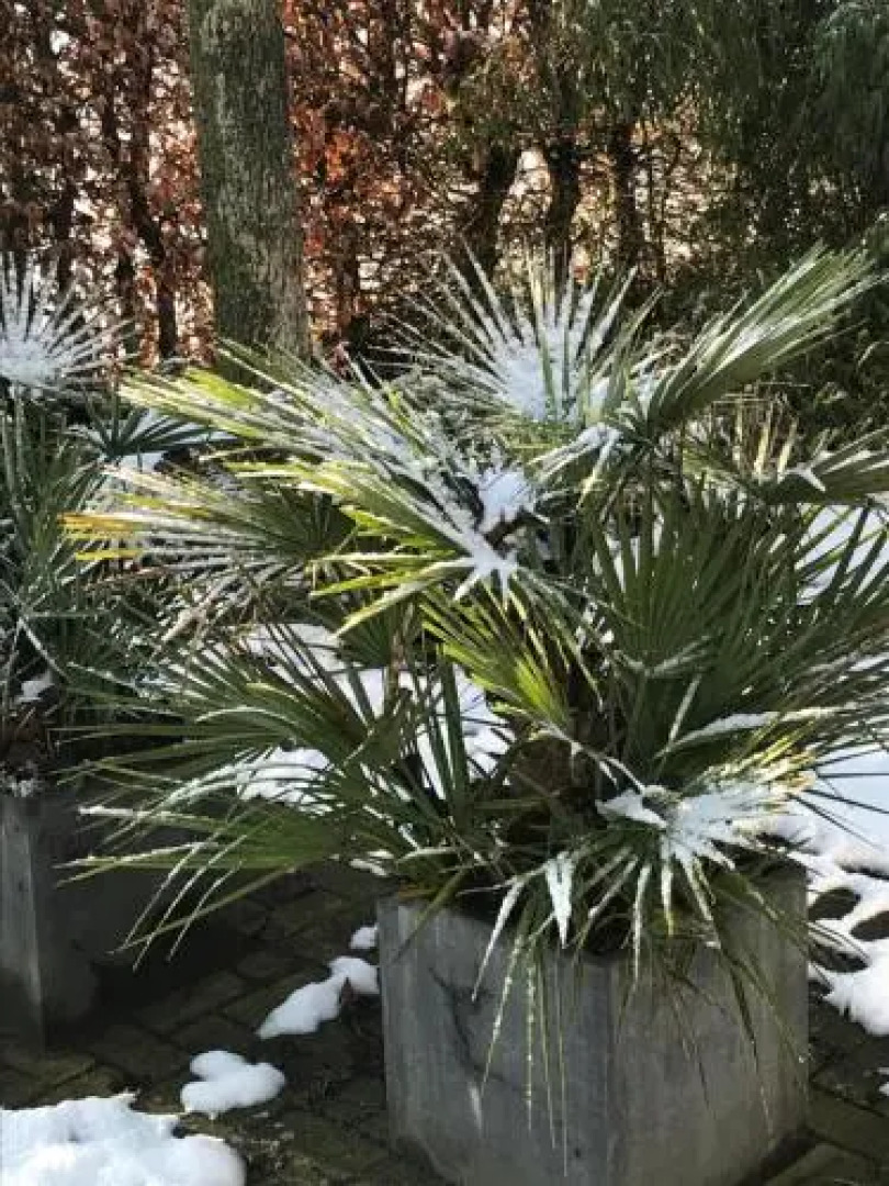 Vakantiewoning Pardoes