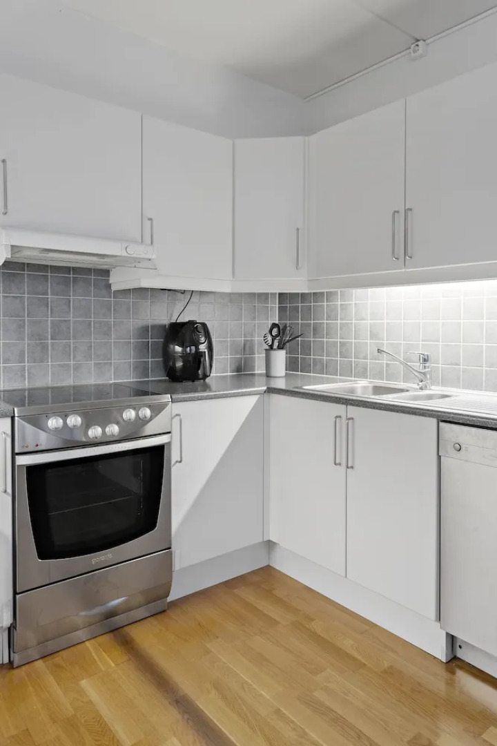 Apartment on Bragernes Strand