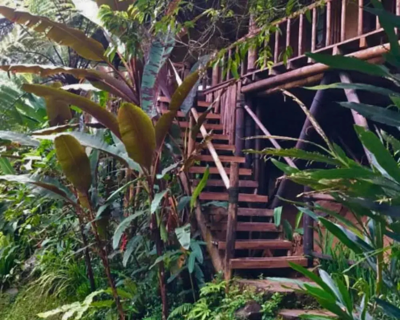 Warung Rekreasi Bedugul