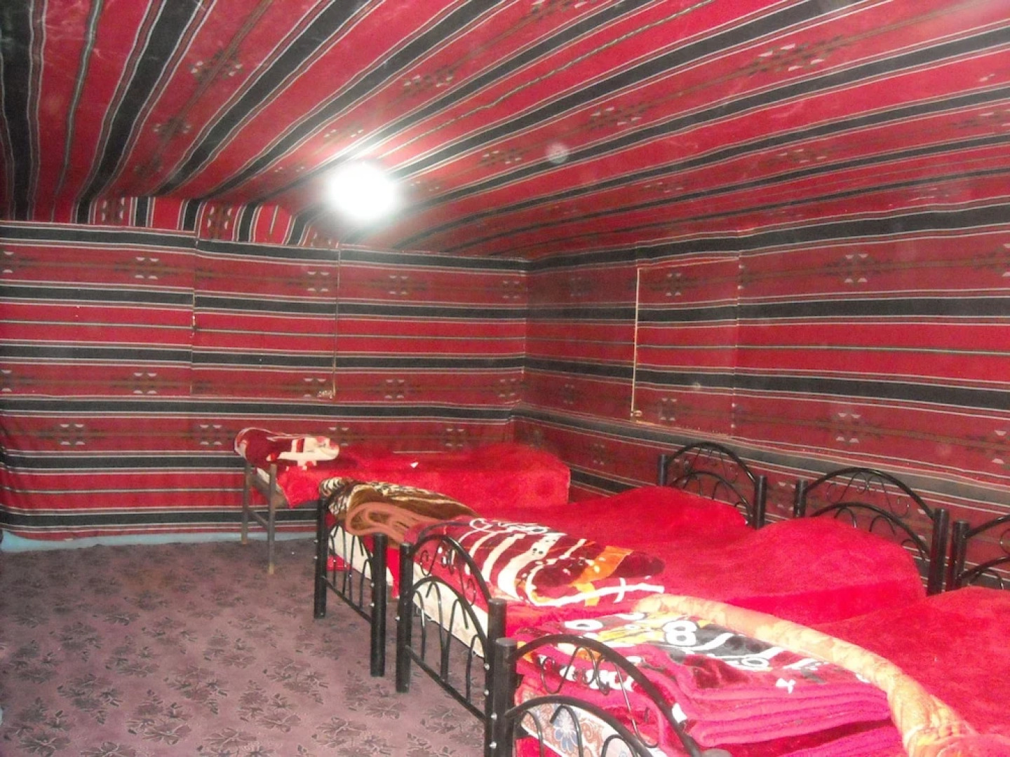 Bedouin expedition Camp