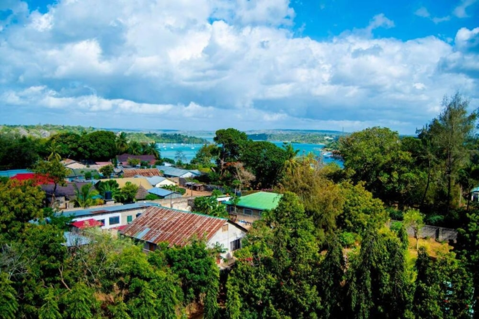 Mishki Homes