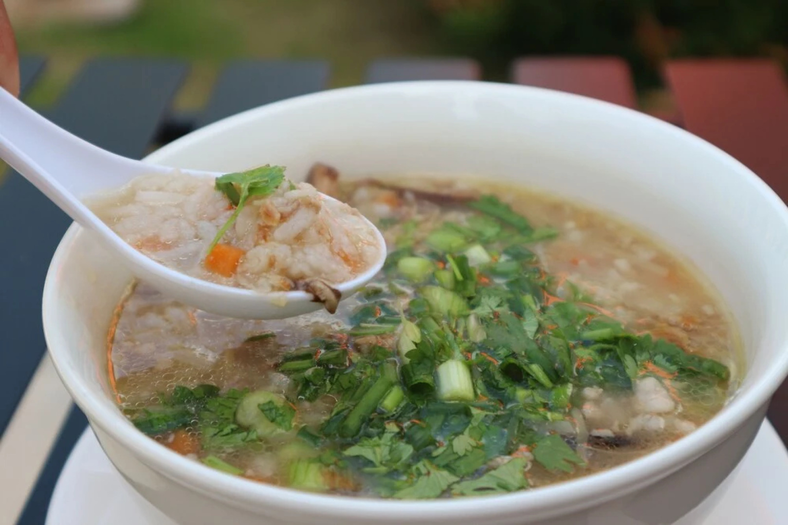 The Rubber Tree Resort