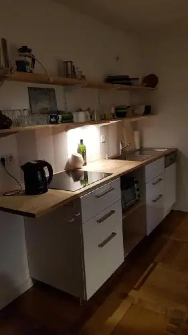 Villa im Park Wachwitzgrund