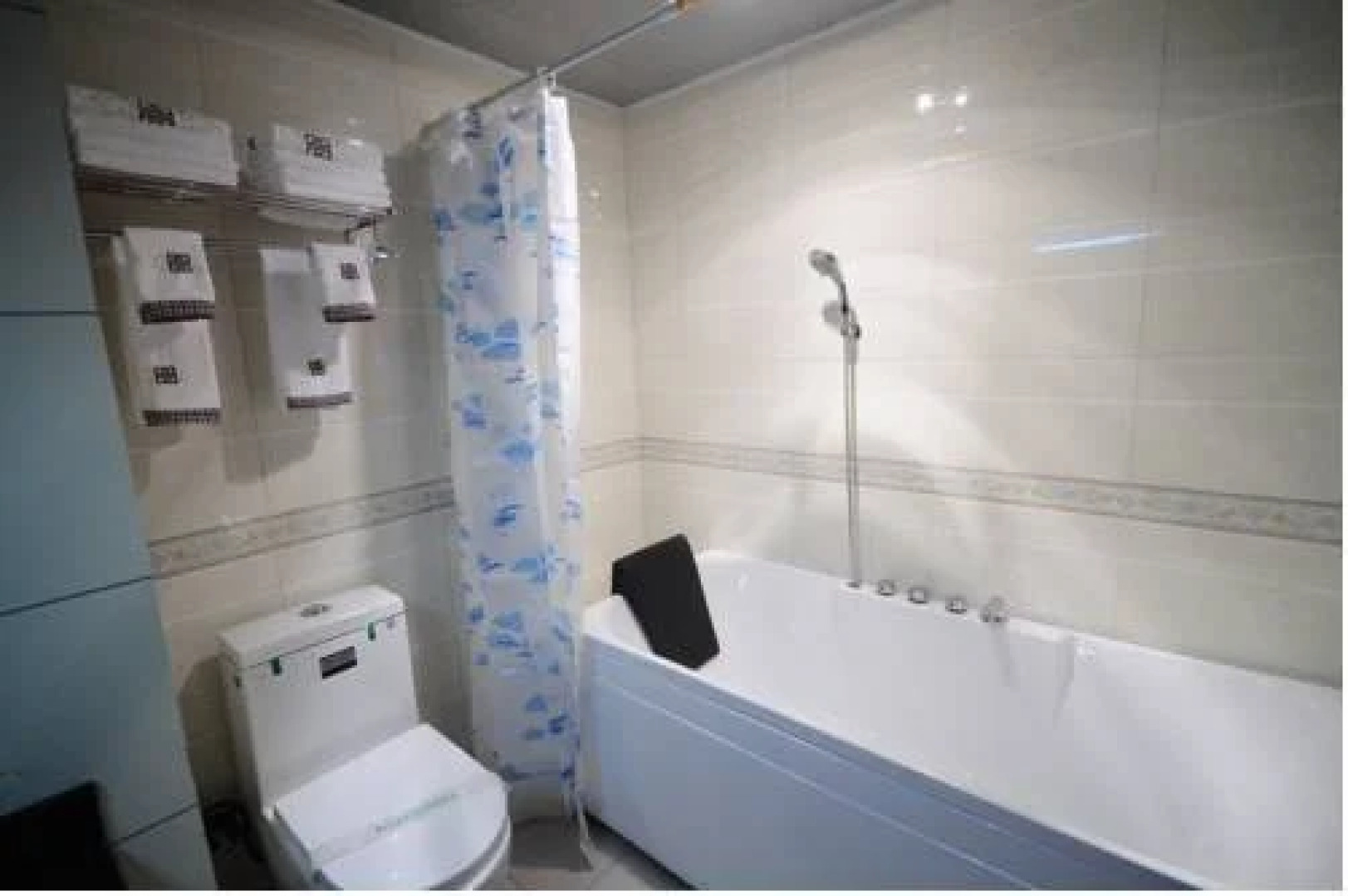 The Bog-Garden Hotel Lhasa