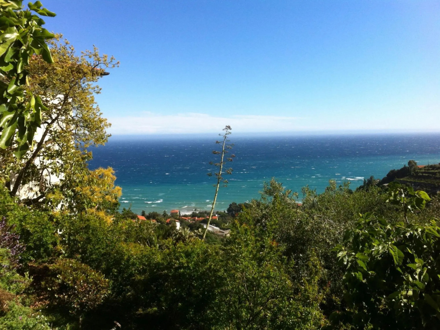 Belvilla by OYO Irene