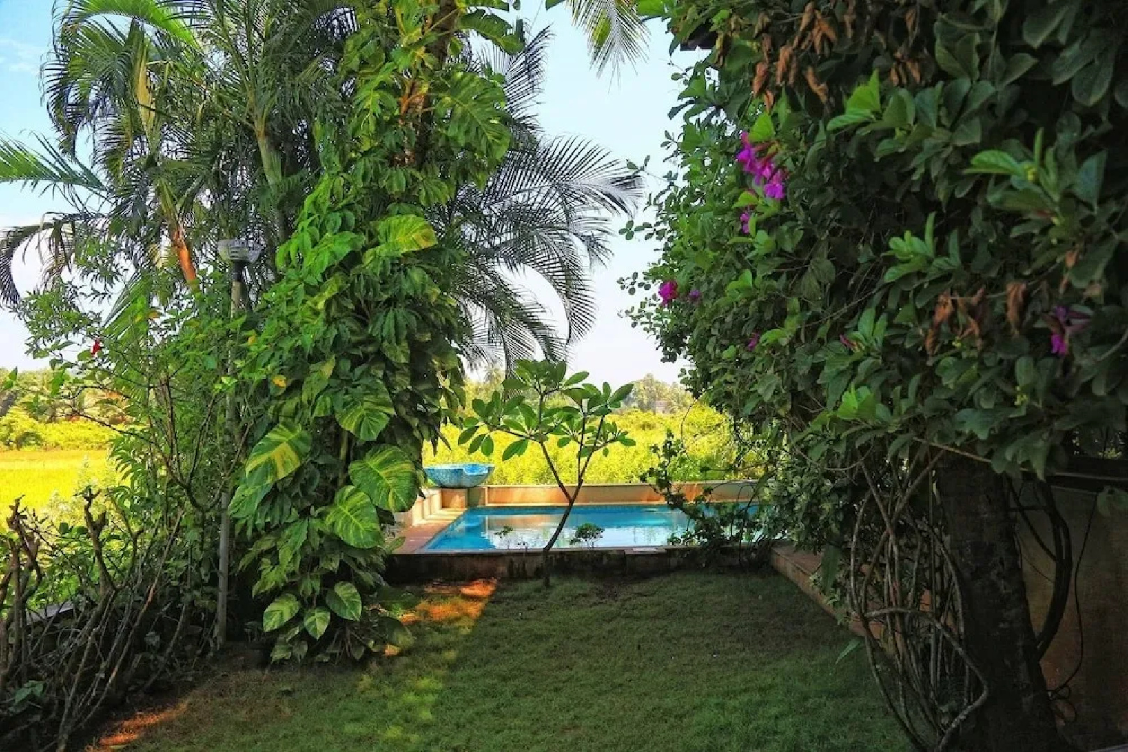 The Acacia Villa - Candy Floss