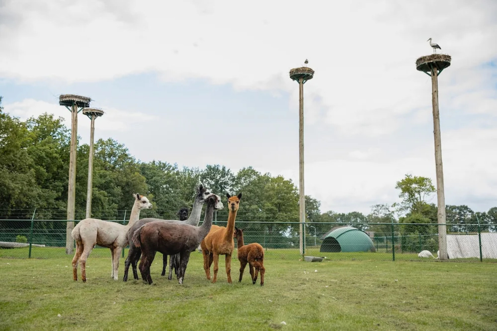 Buiten Gewoon - Gewoon Buiten