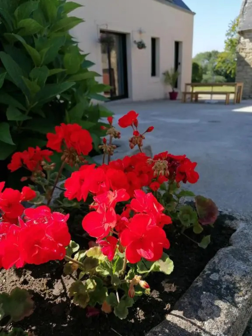 Chaleureux gîte 6 personnes au cœur du Cap-Sizun