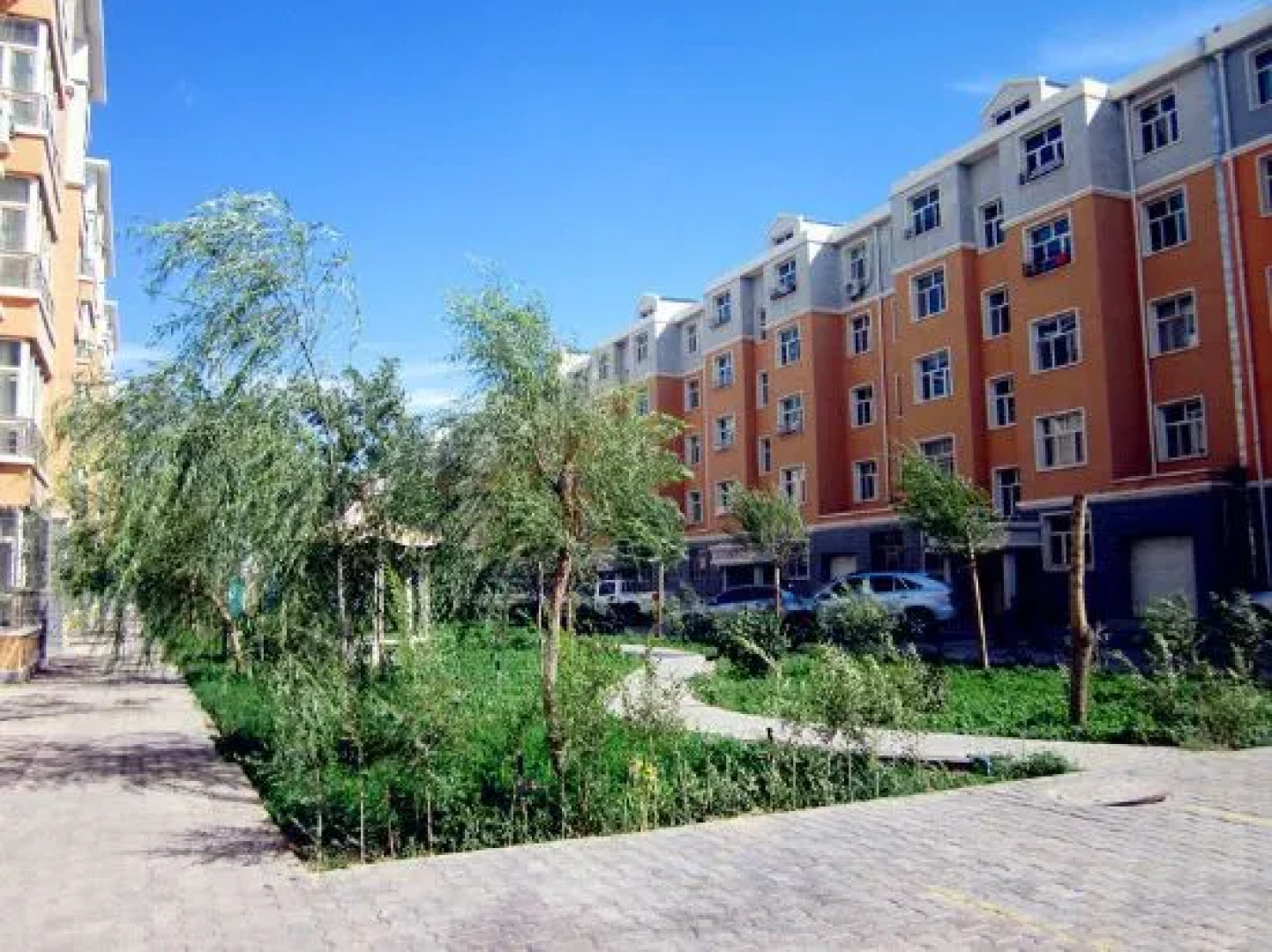 Ejin Banner Jinhui Homestay