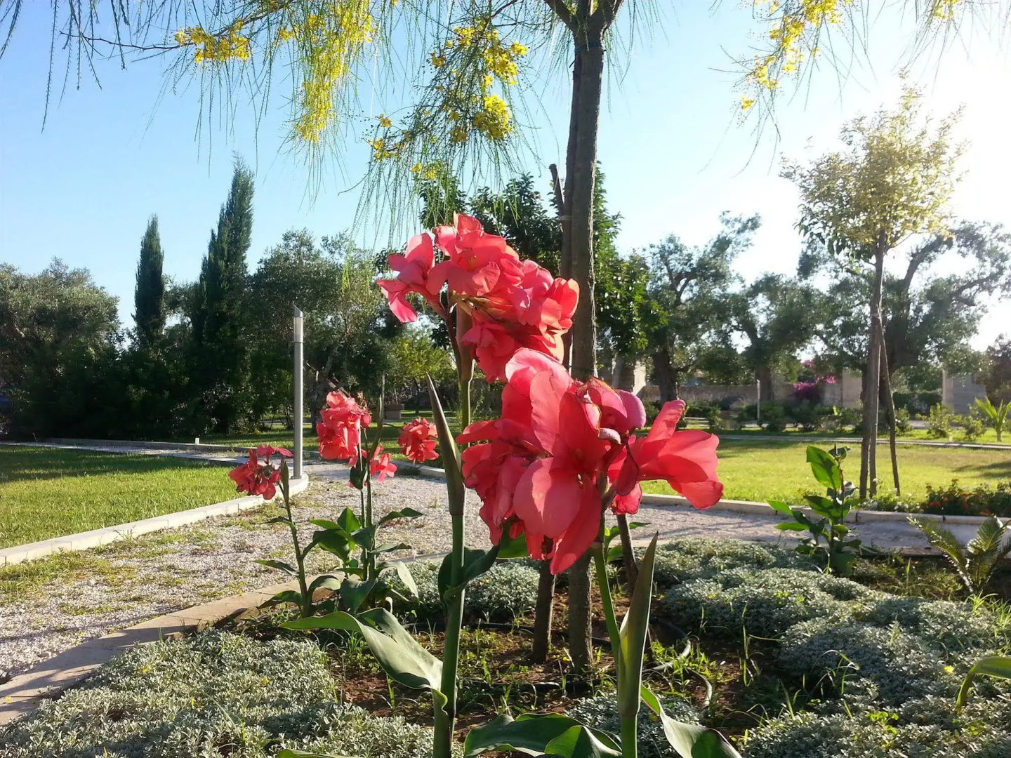 Willaria country house