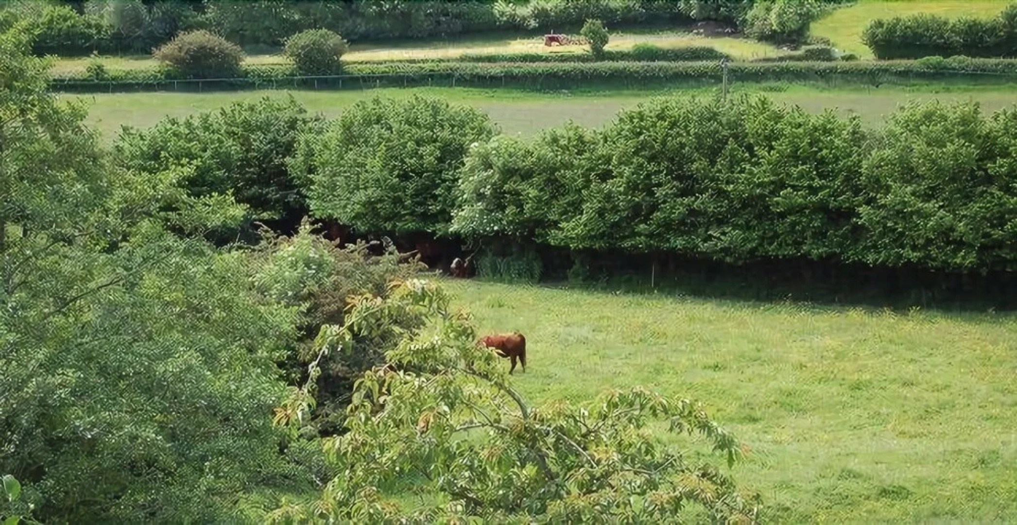 The Waterdine - Restaurant with Rooms