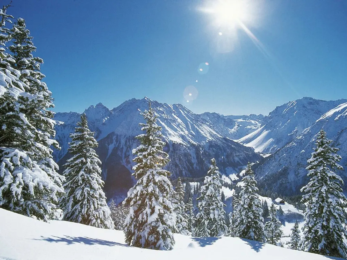 Spacious Apartment With Garden in Bürserberg