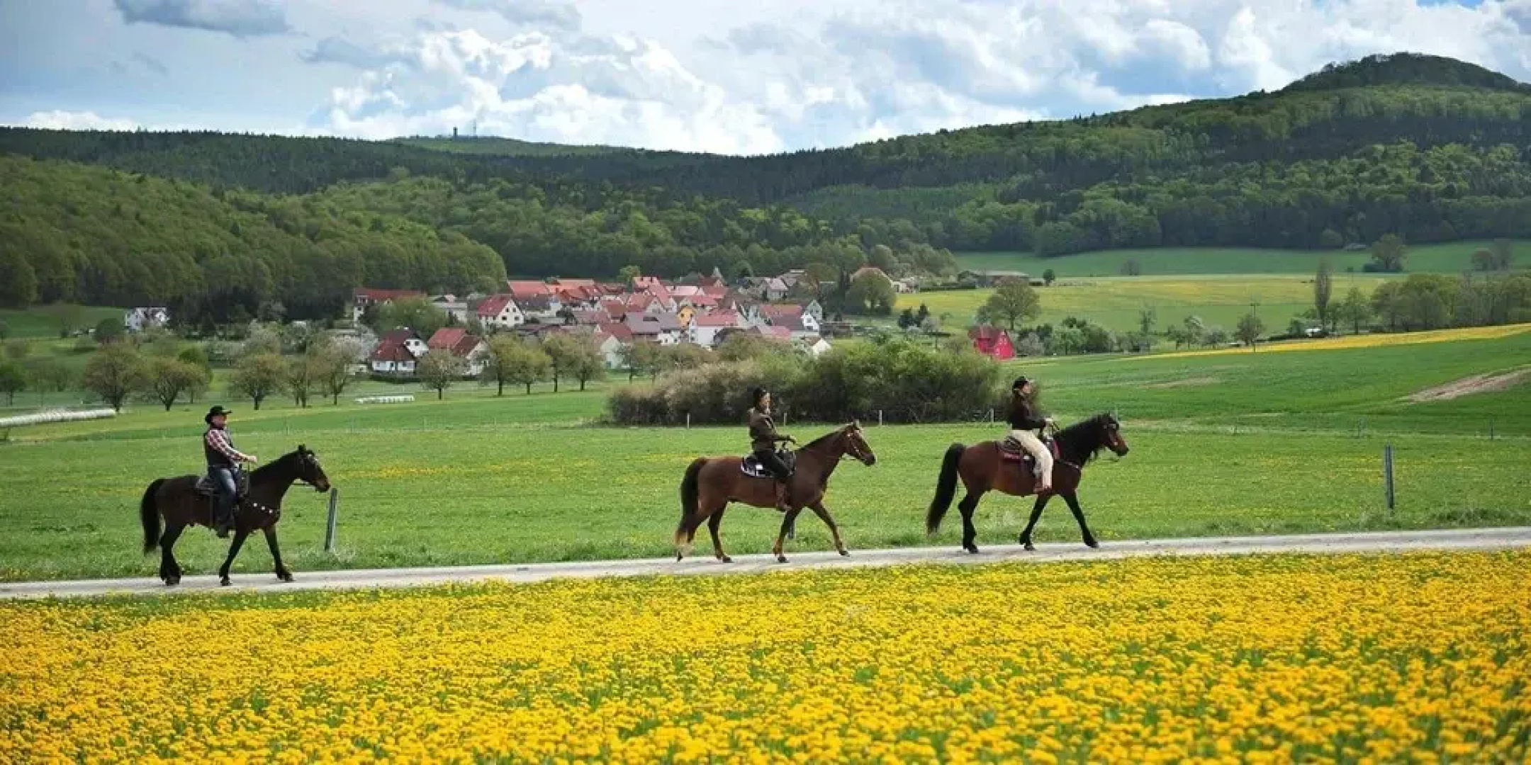 Landhotel Zur Grünen Kutte