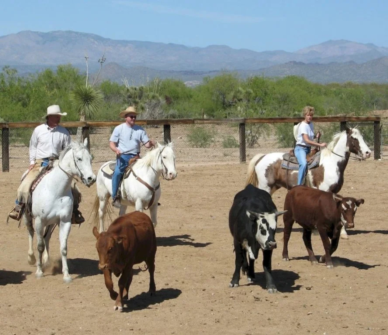 Flying E Ranch
