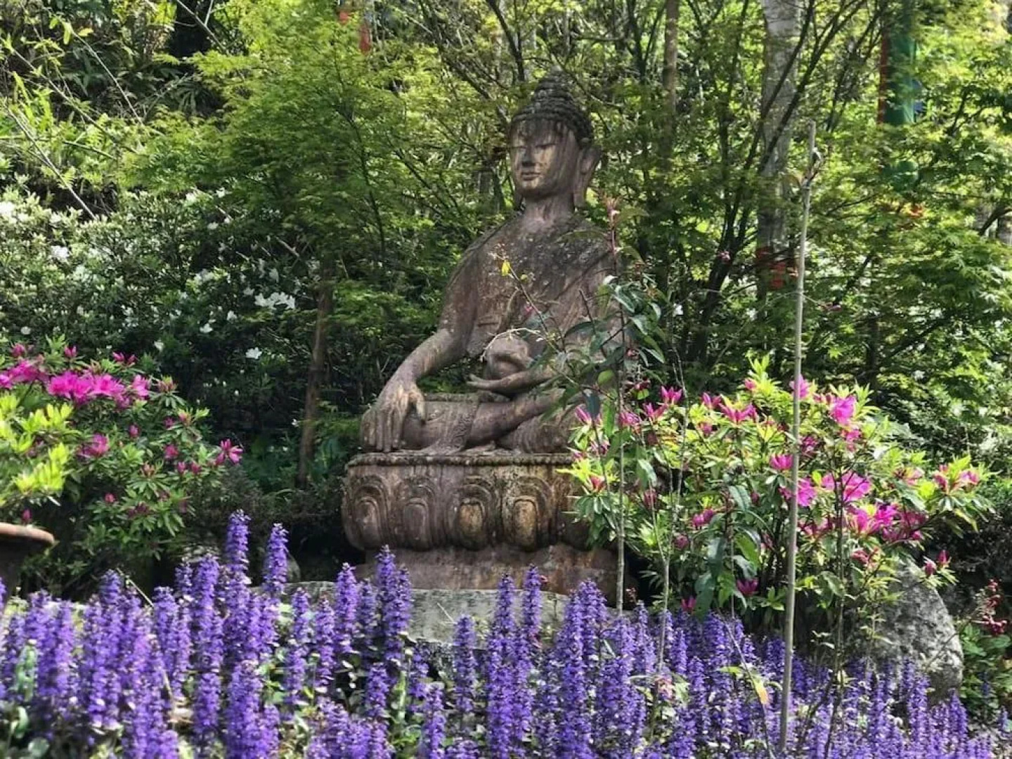 The Chumbi Mountain Retreat