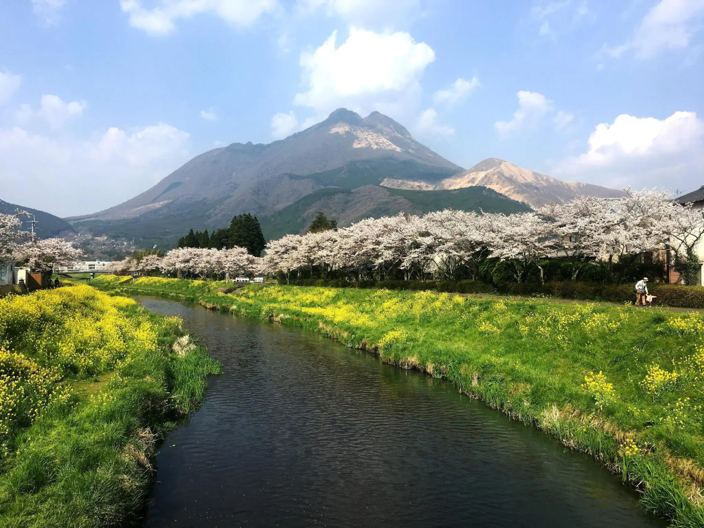 Japanese Onsen Ryokan Yufuin Tabinokura