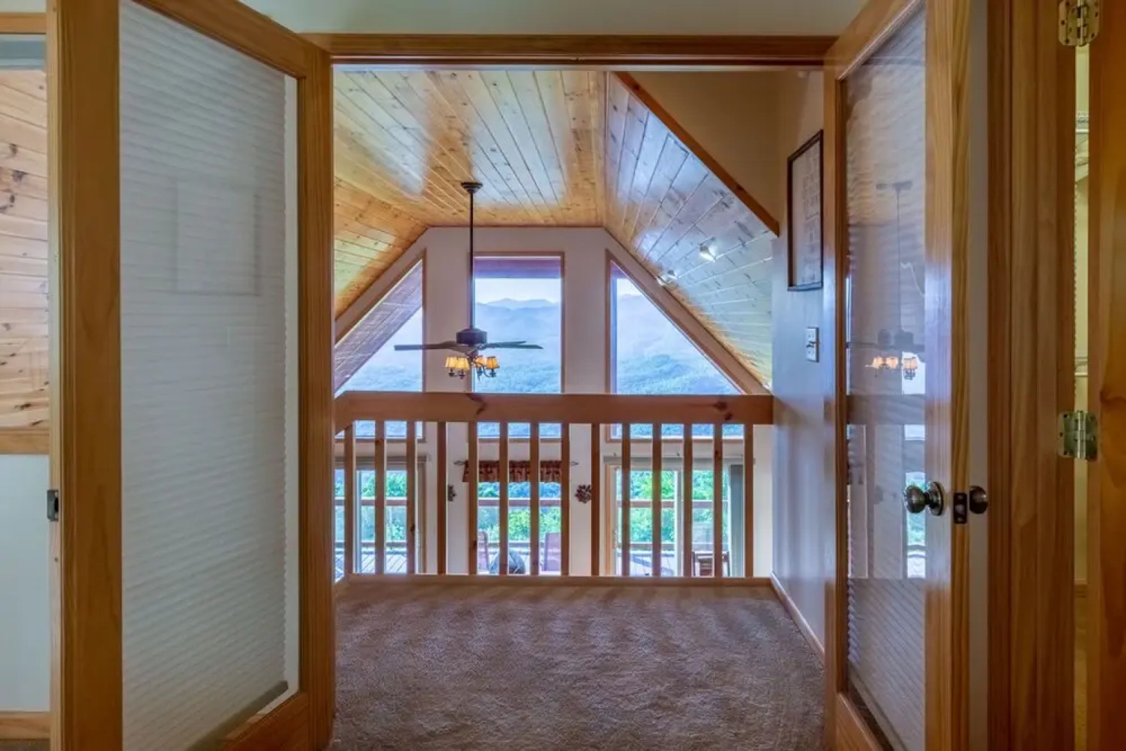 The Blue Ridge Mountain Top Cabin