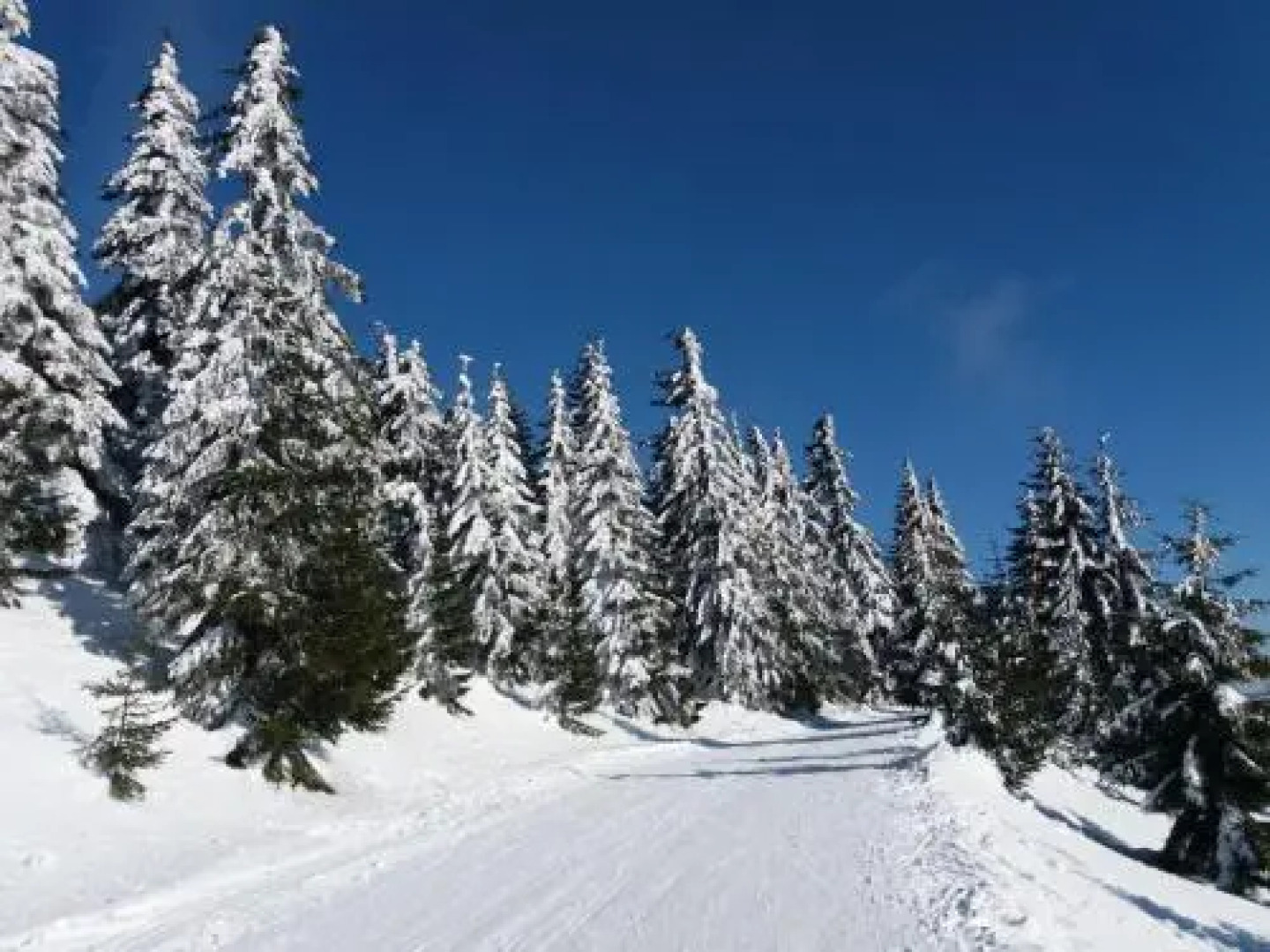 Mezonetový apartman Bellewue