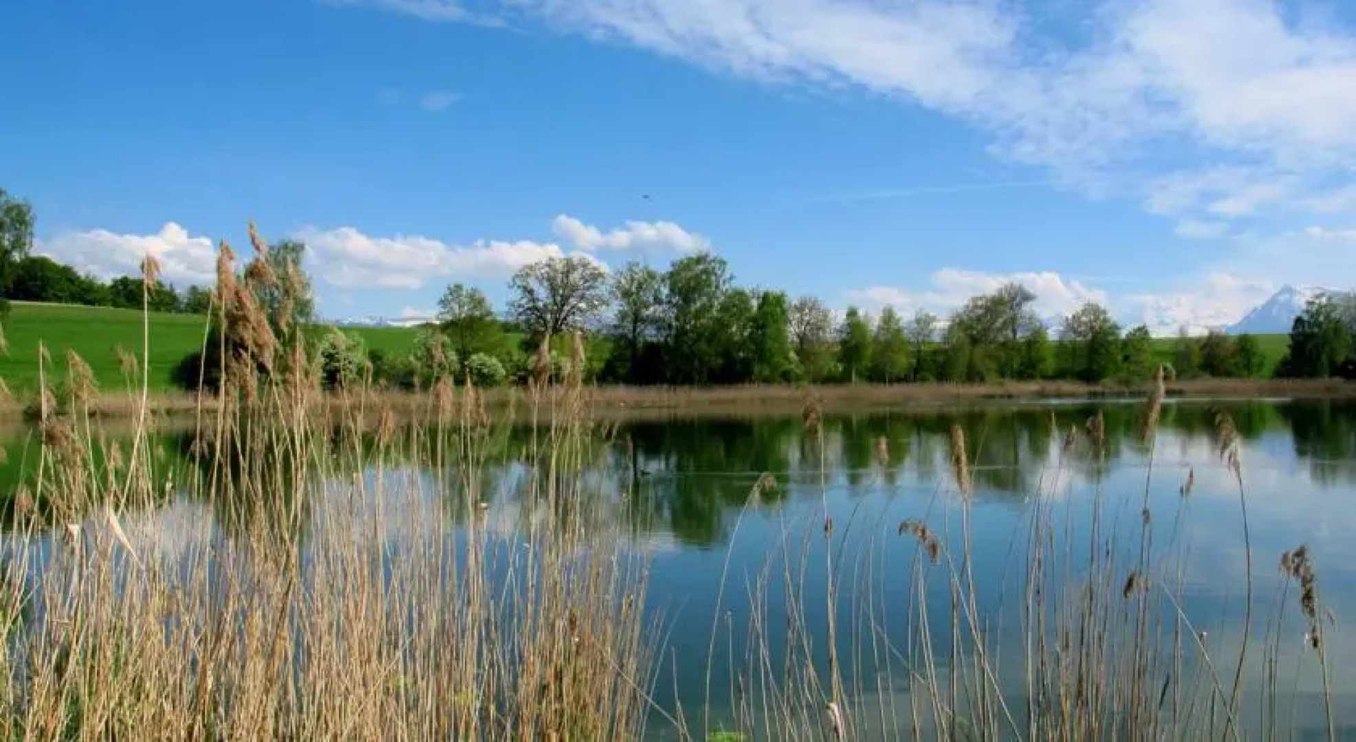 Seminarhotel Gerzensee