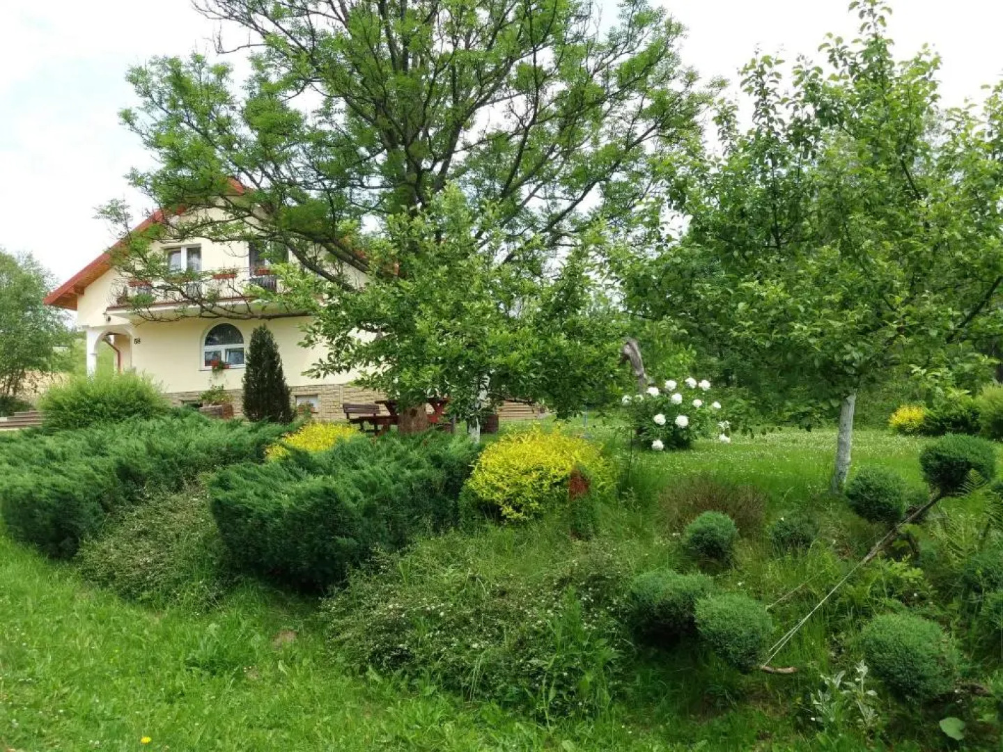 U Eskulapa Bieszczady