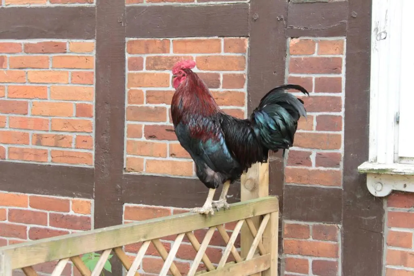 Gastehaus Tobringen 20