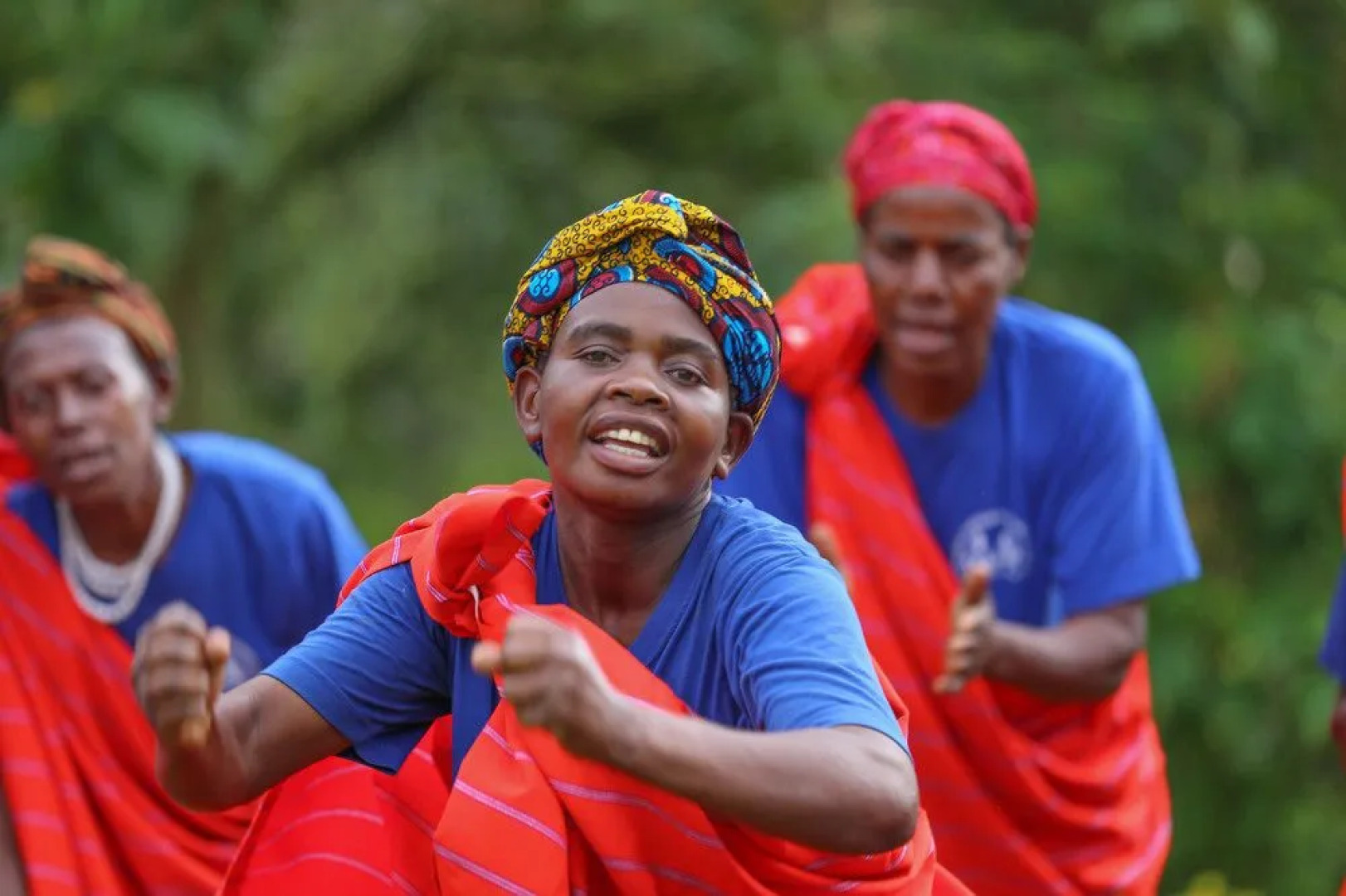 Gorilla Safari Lodge