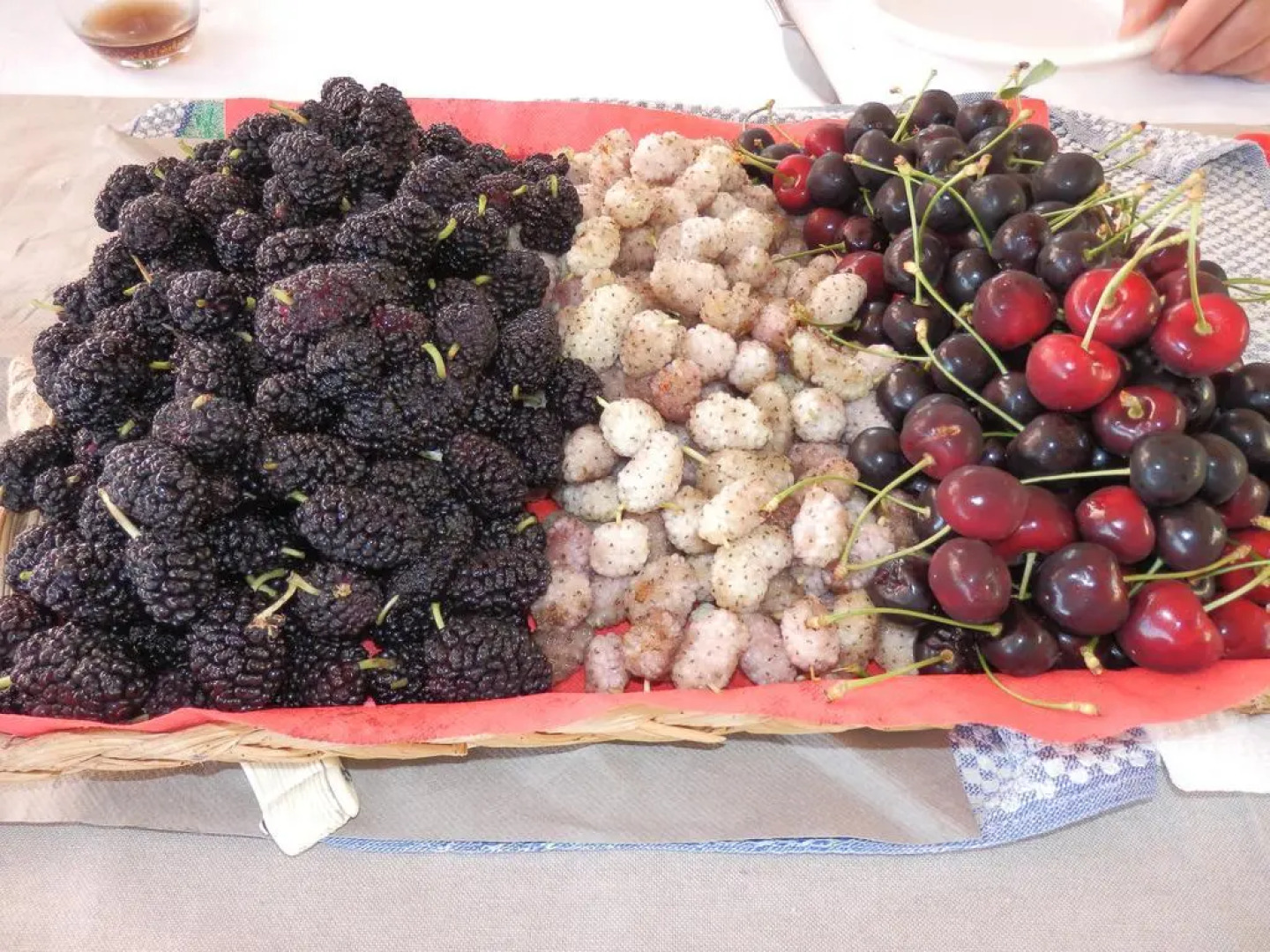 B&B Giardino 21 Marzo