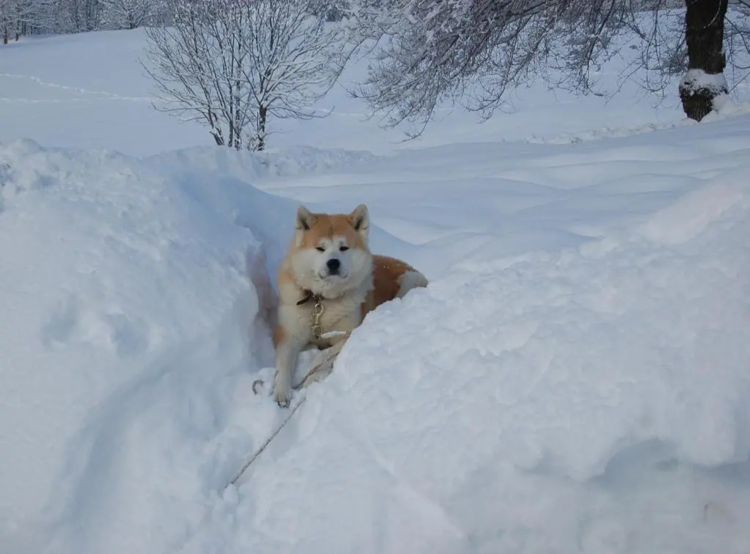 Residence Foyer DAntan