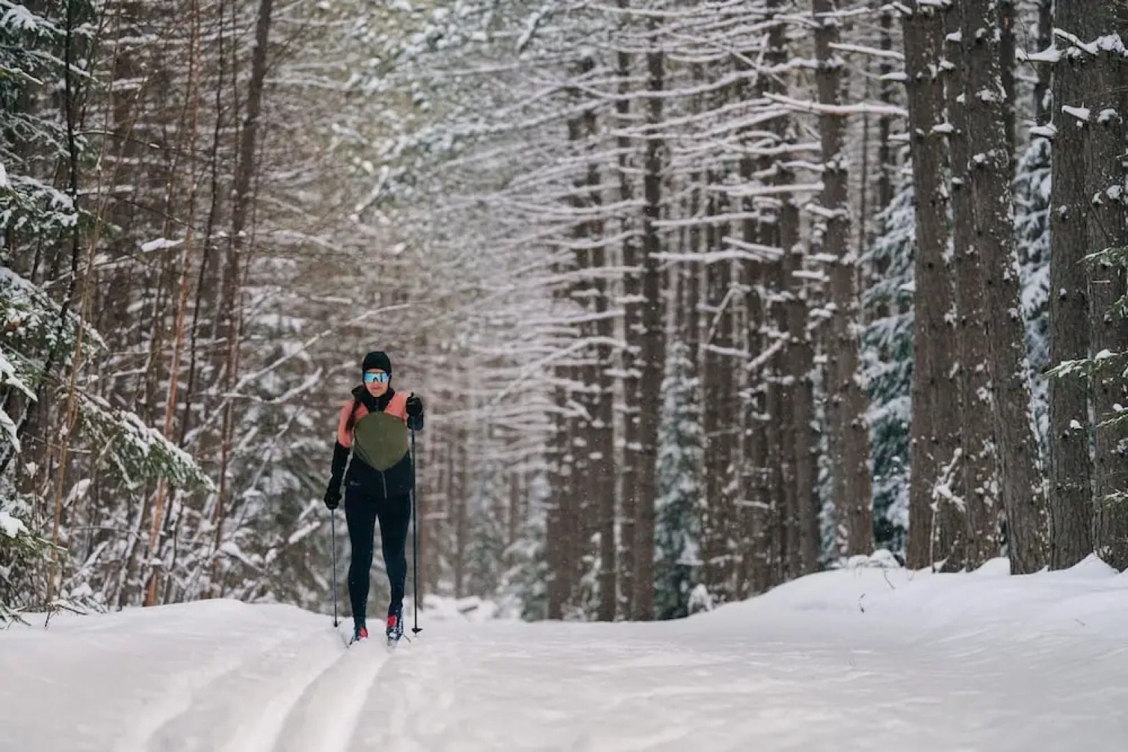 Relaxing Location Steps From Resort Citq 242281