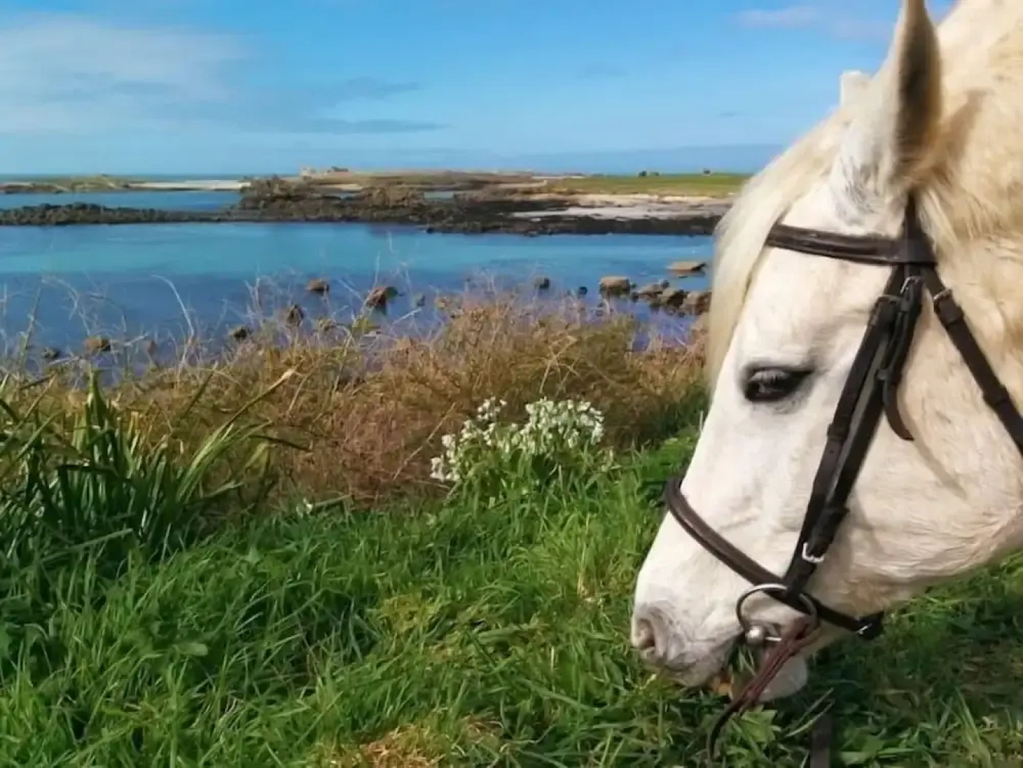 Cottage Maison Drogou