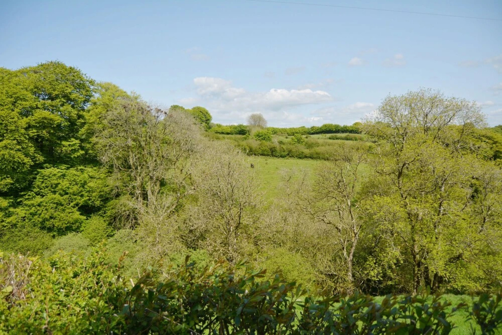 Pet-friendly spacious barn conversion in Exmoor National Park