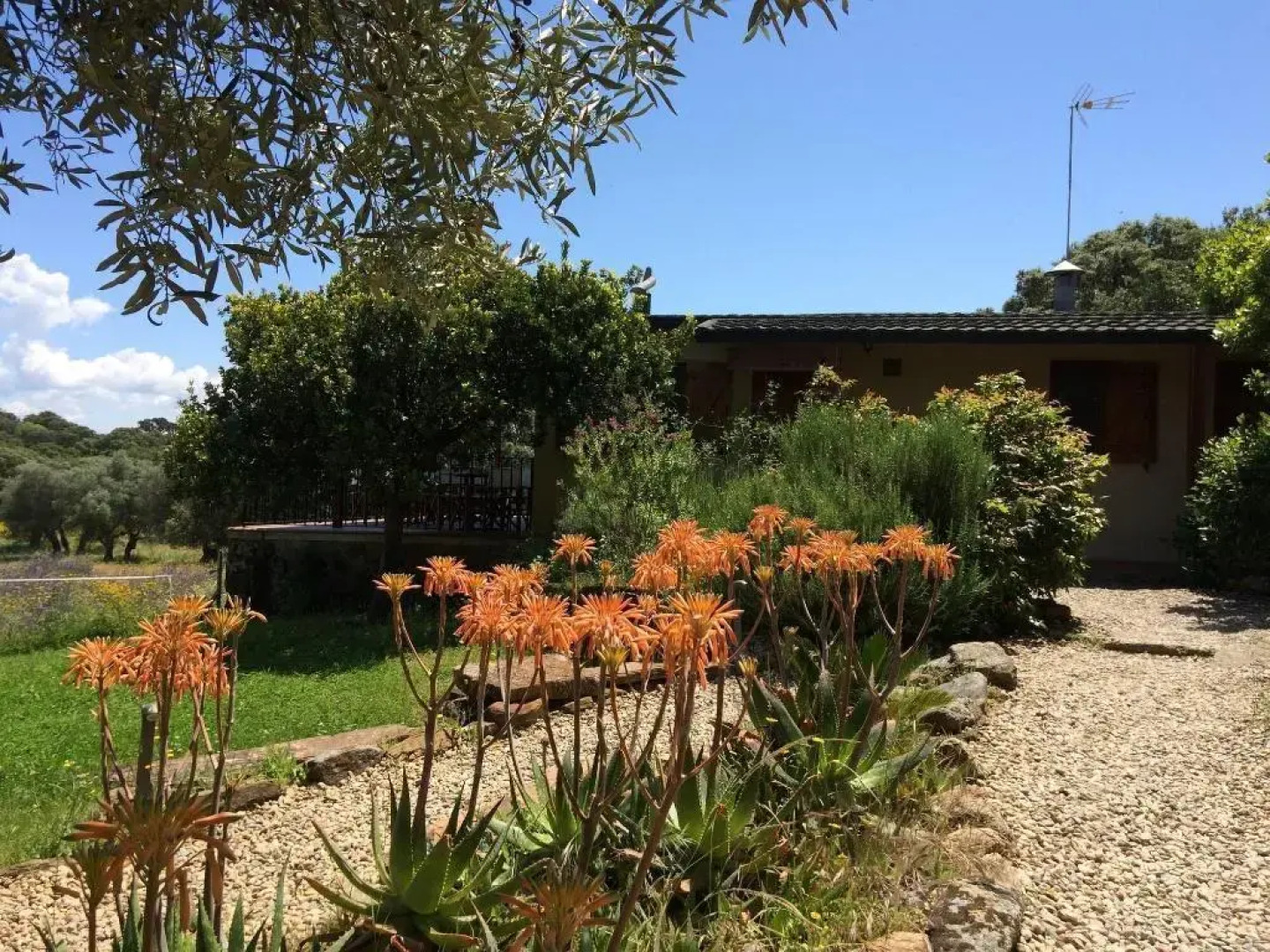 La Cerca Del Alcornoque