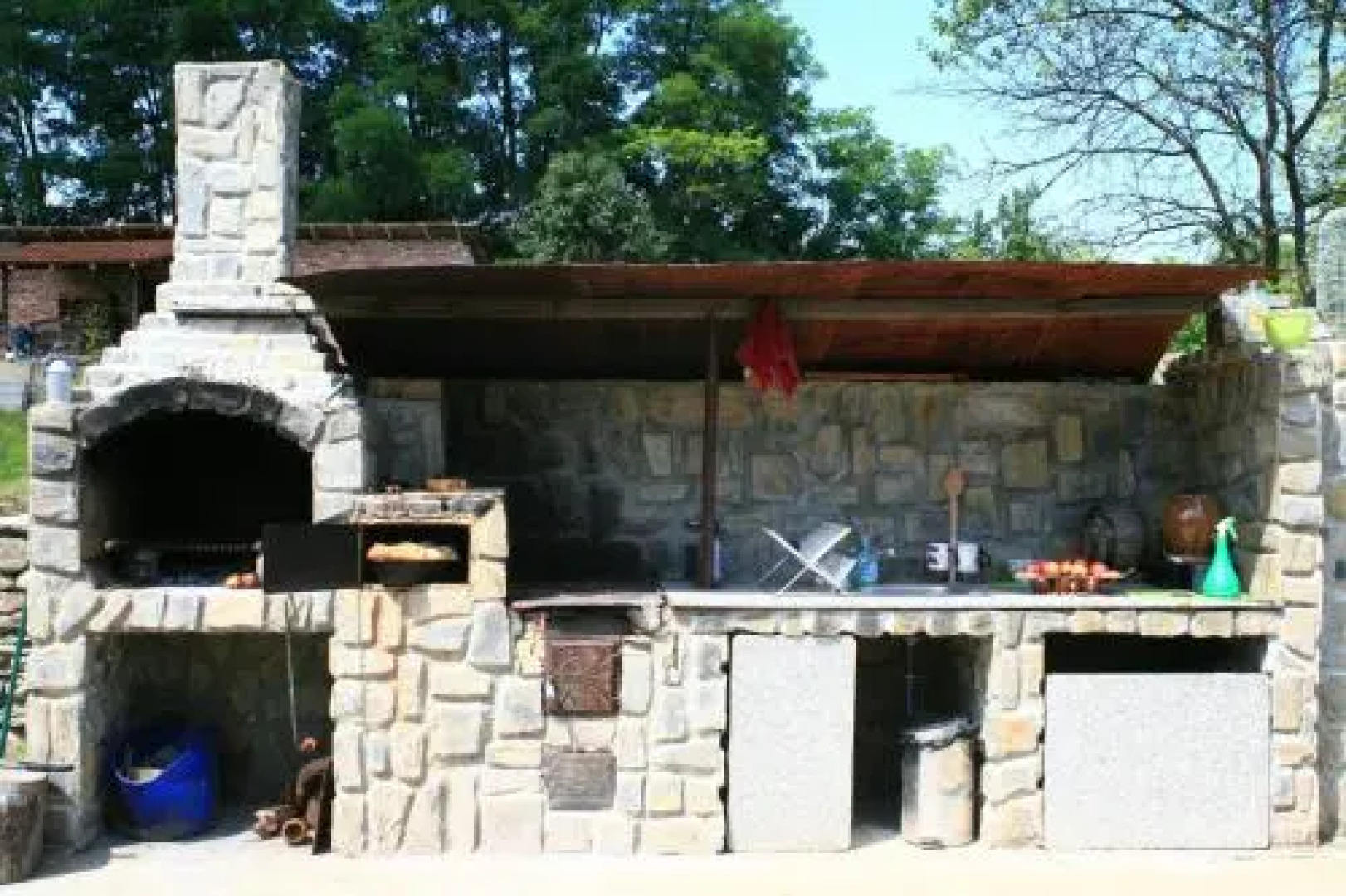 Cuibul Salamandrelor