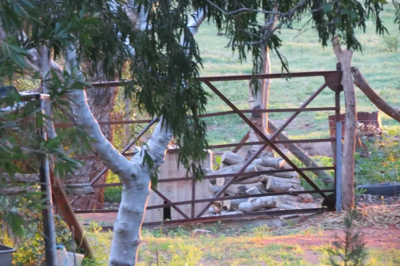 Bentwood Olive Grove Accommodation