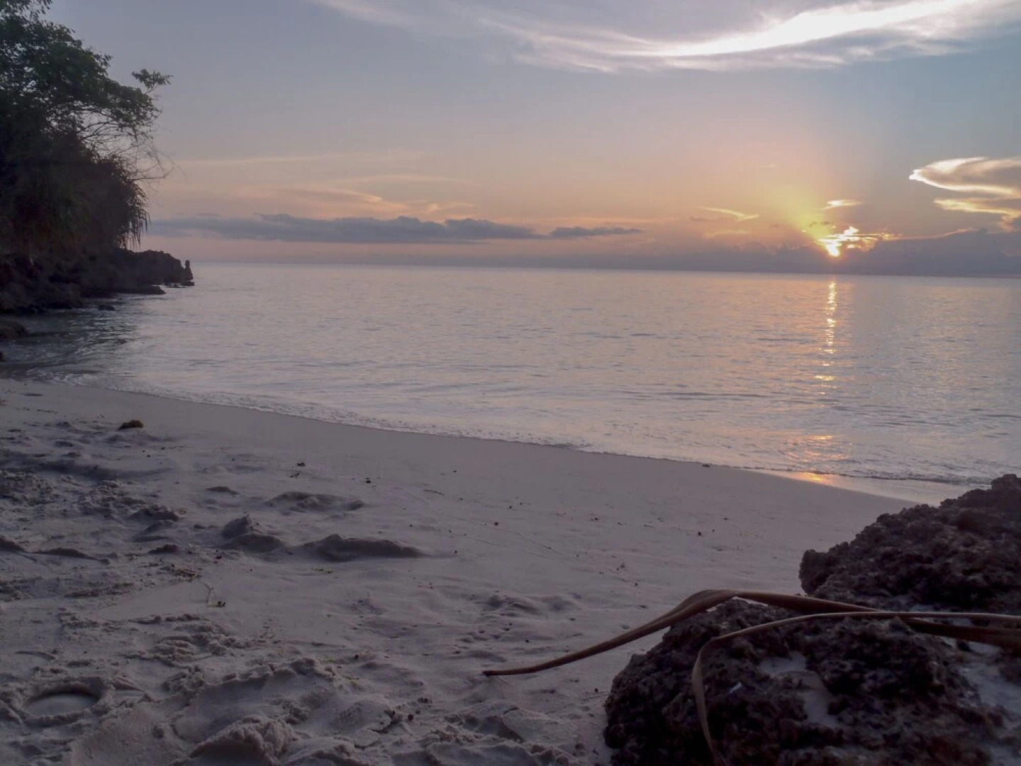 Swahili Divers & Gecko Nature Lodge