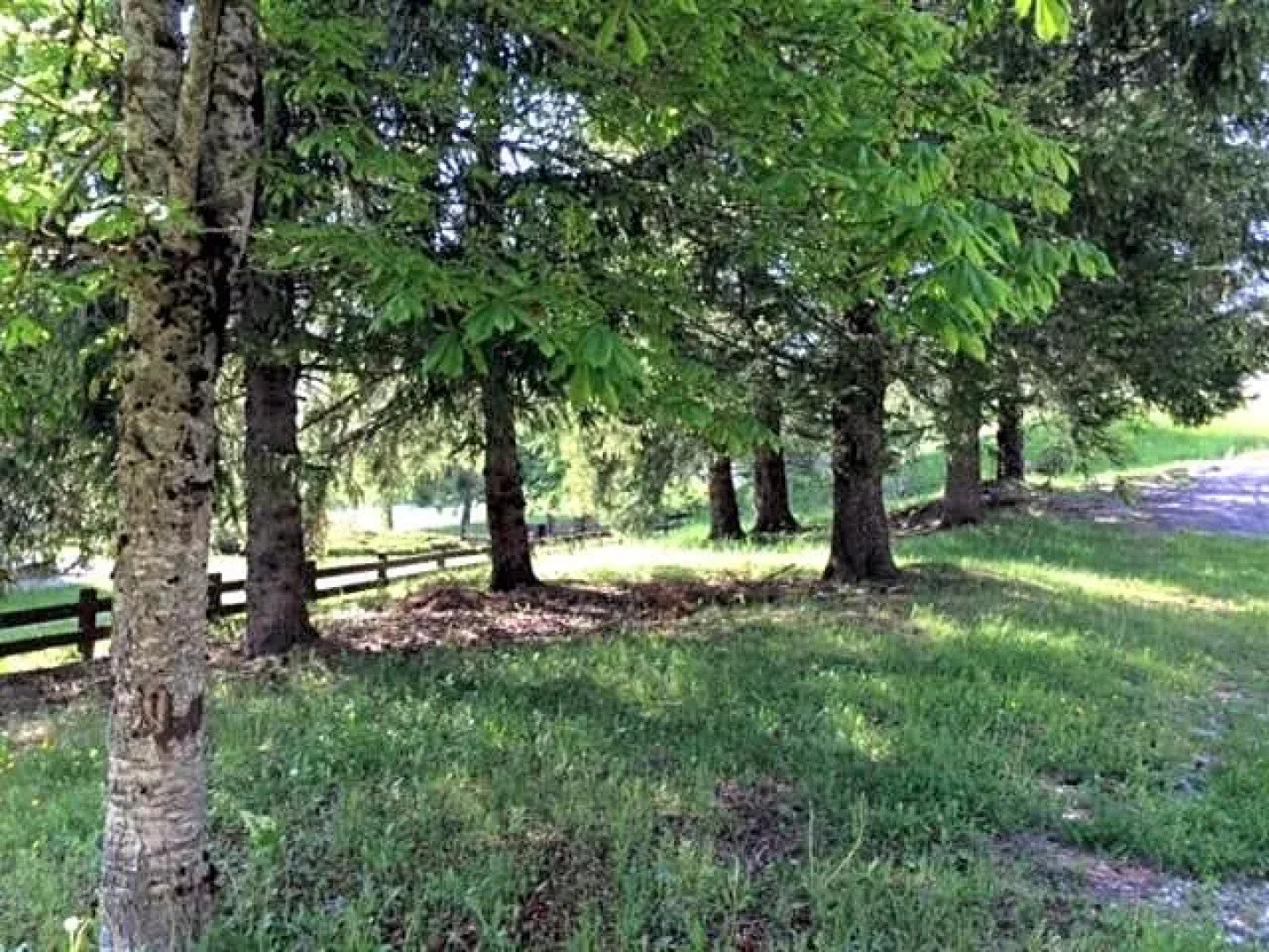 Park Hotel Miramonti