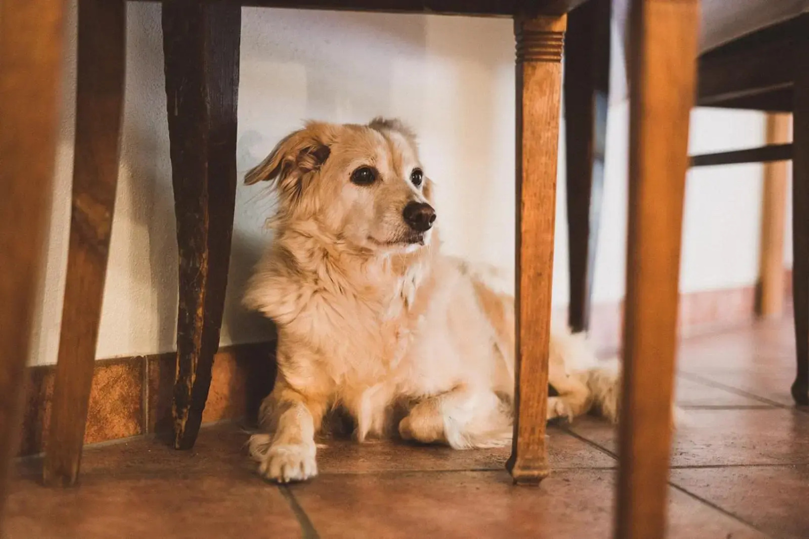 Pension Spielzeughof