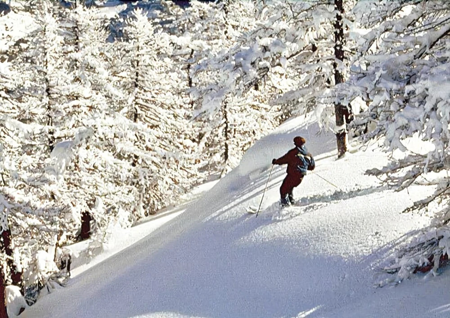 Les Chalets du Jardin Alpin