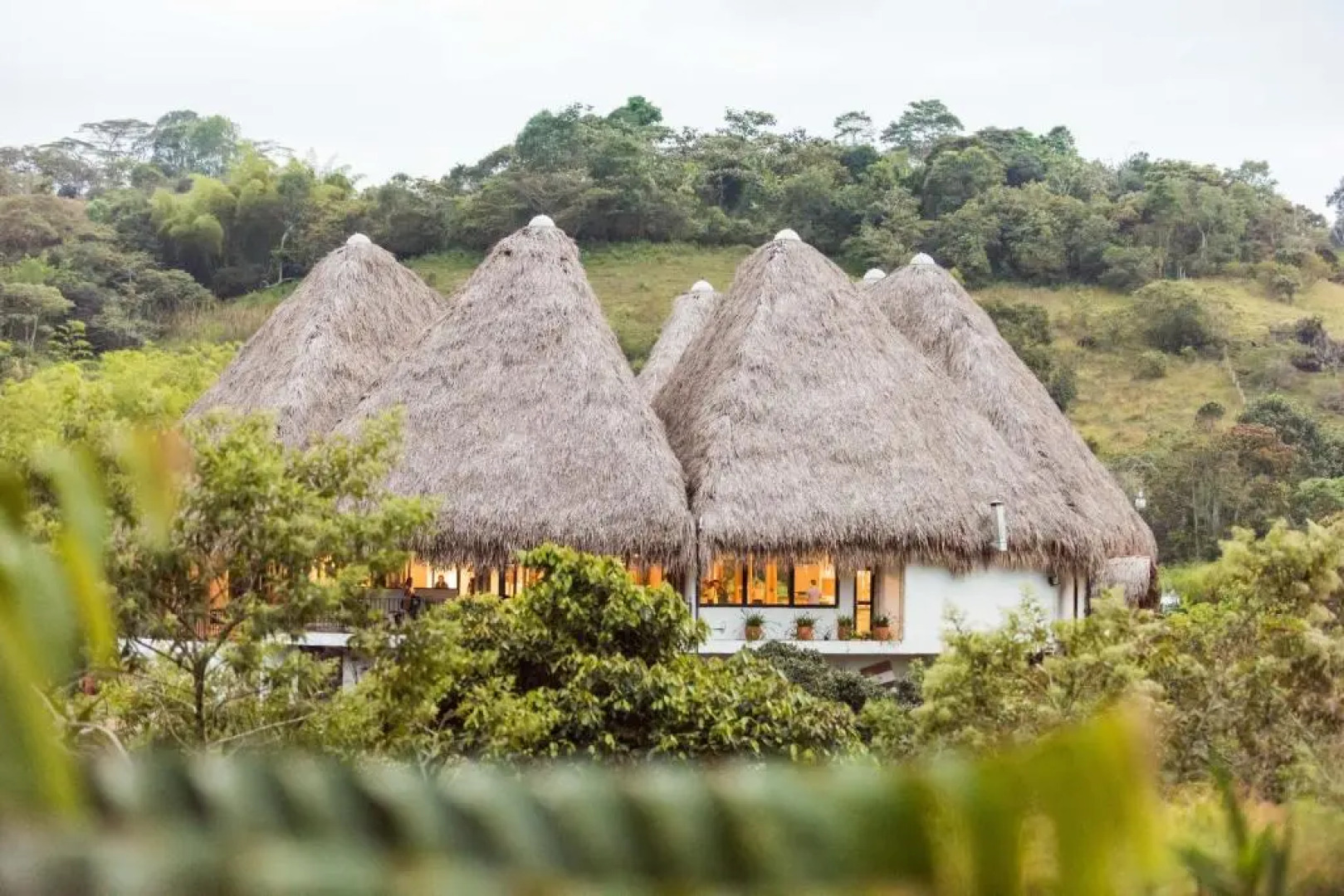 Ceiba by Masaya Collection