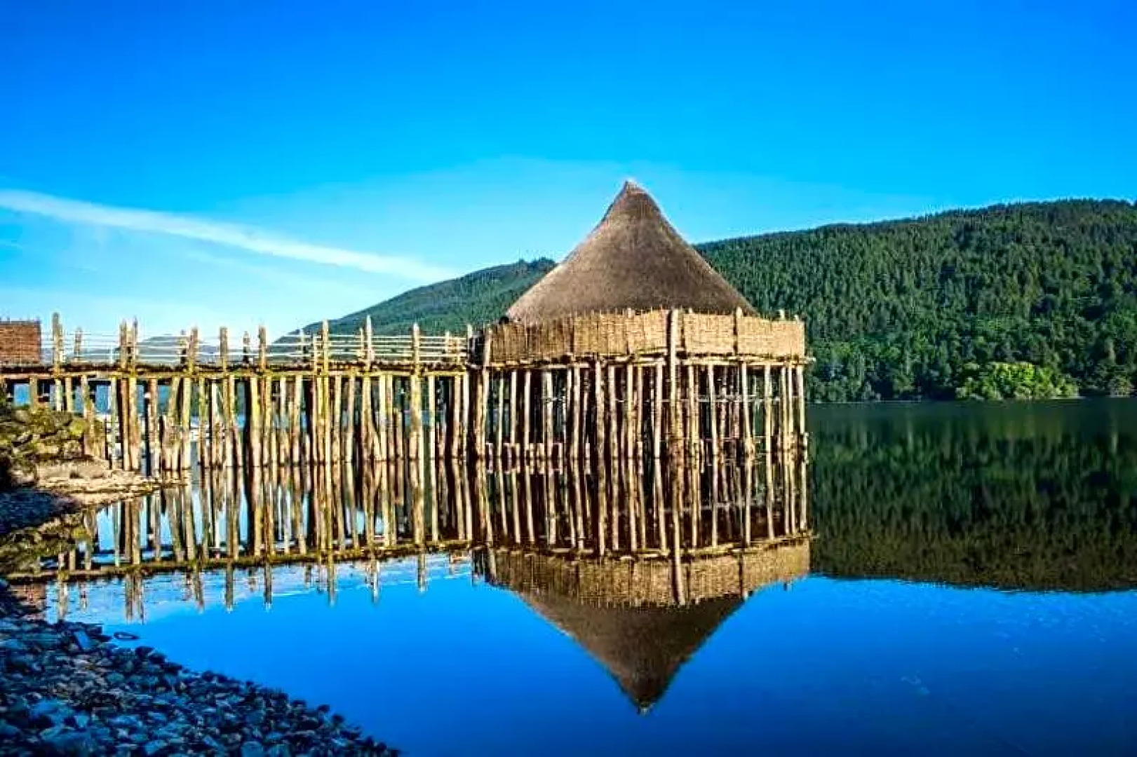 Cosy Rowan woodland lodge no3