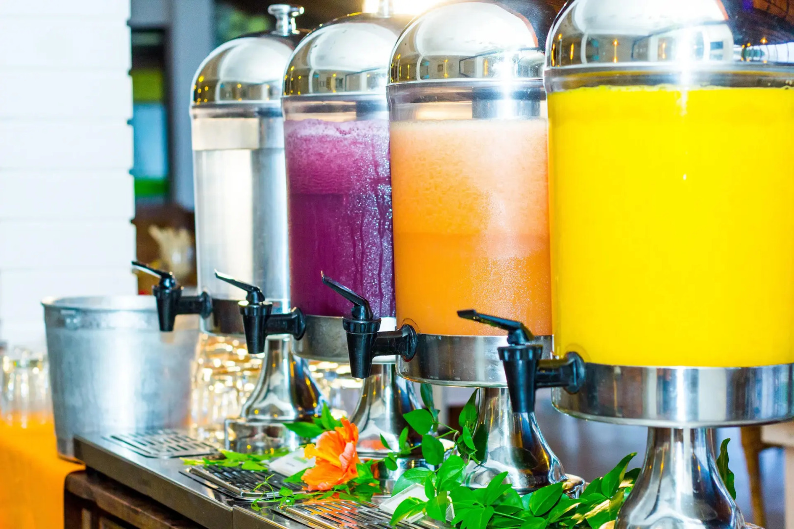 Pousada Pedra da Ilha