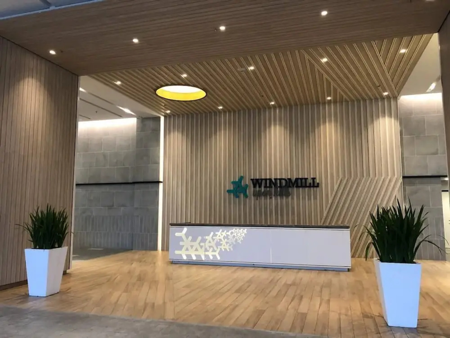 Windmill By Annette Soon