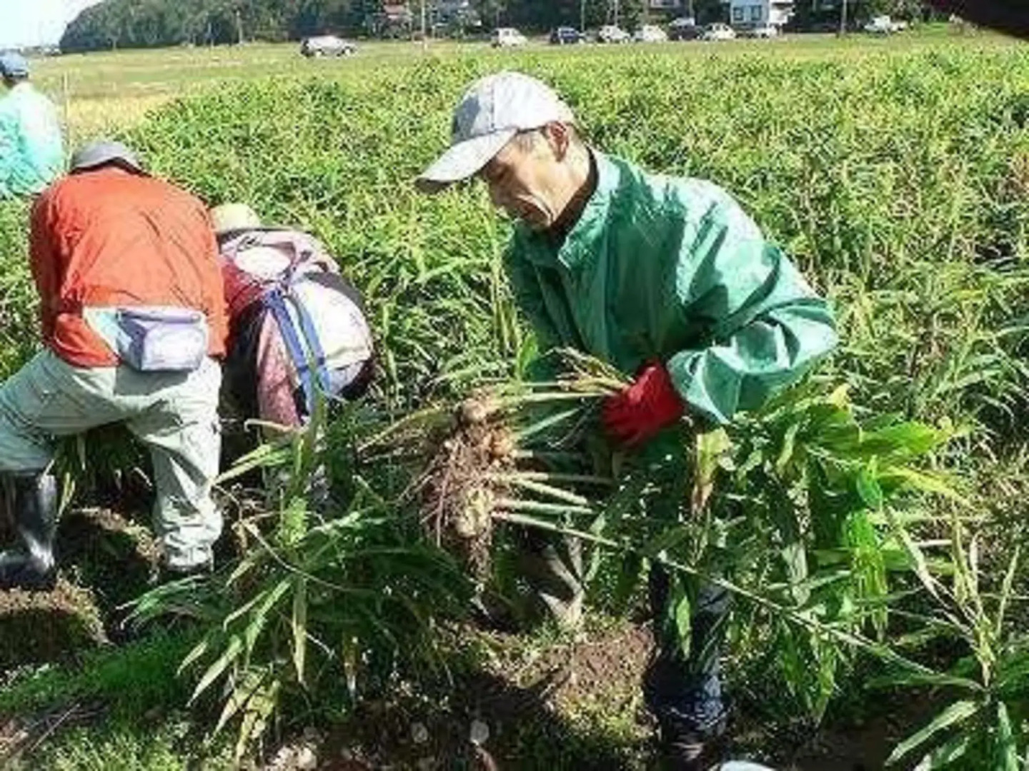 Kaigarabushi no Sato Ryofuan